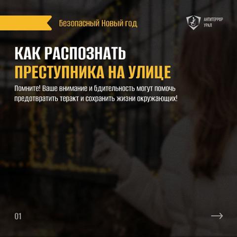 Памятки Безопасный новый год изображения 4